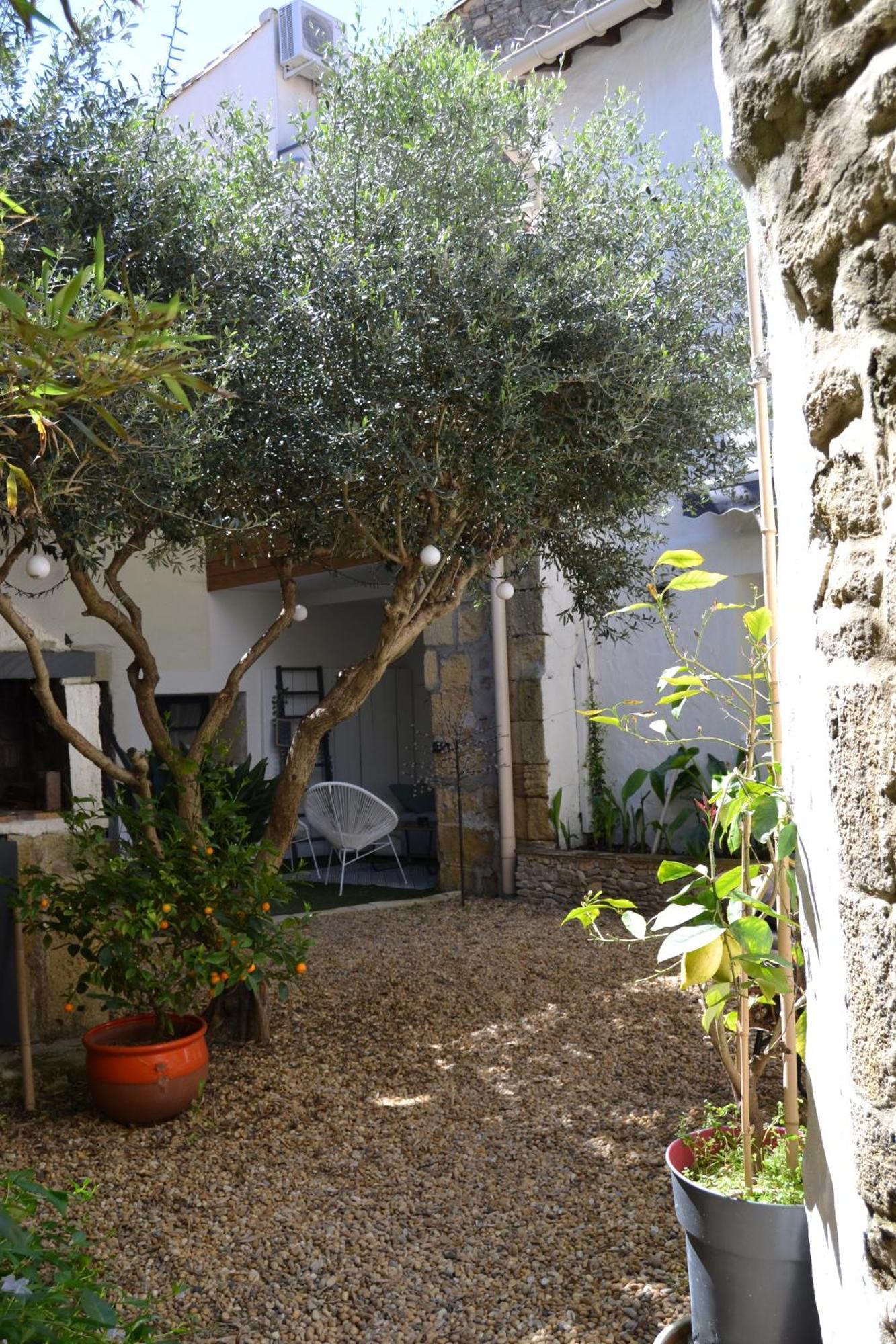 La Cachette Bed and Breakfast Aigues-Vives  Εξωτερικό φωτογραφία